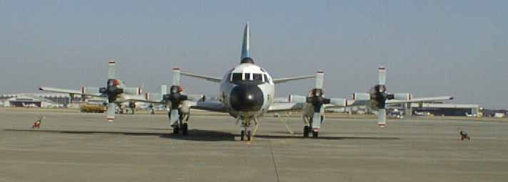 2_p-3c.jpg (29206 �o�C�g)